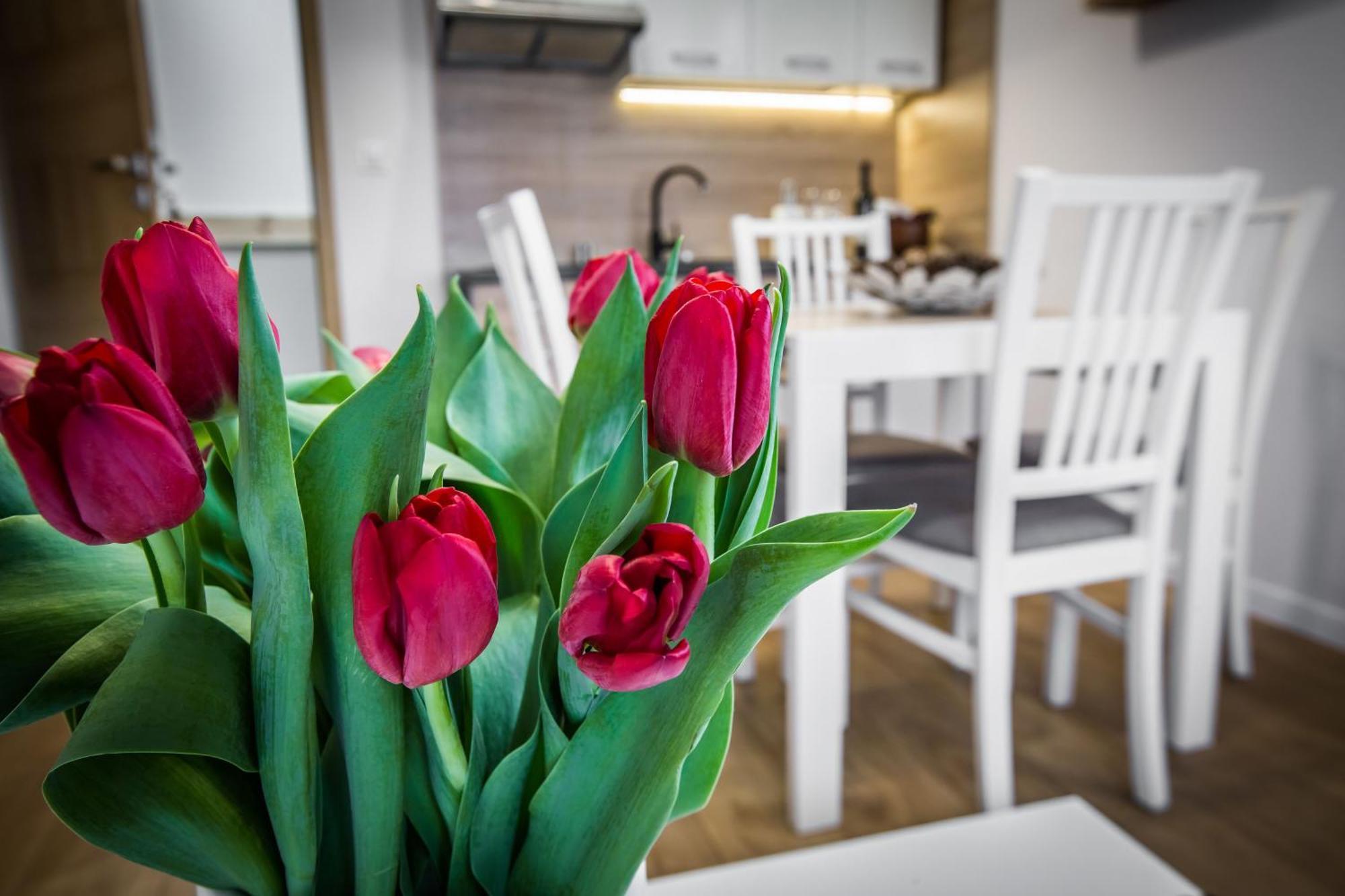 Apartamenty Przy Skoczni Щирк Екстер'єр фото